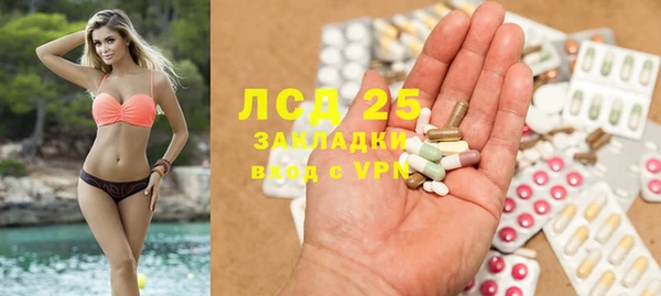 гашик Володарск