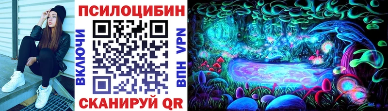 купить   Новокубанск  Галлюциногенные грибы MAGIC MUSHROOMS 