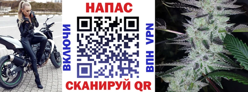Шишки марихуана VHQ купить сайты kraken ССЫЛКА Новокубанск